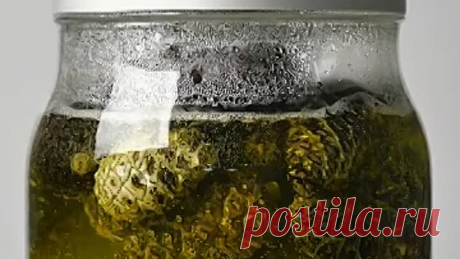 6 способов украсить дом с помощью природы))