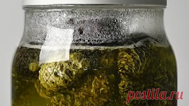 6 способов украсить дом с помощью природы))