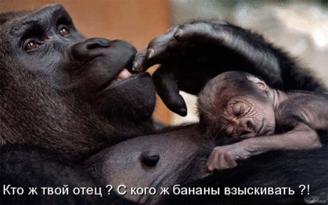 Юмор в картинках » сайт для детей и родителей