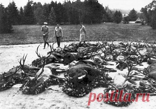 Царская охота - shatsky