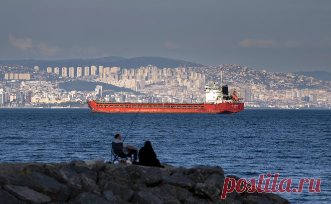 Турция нарастила экспорт в Россию до нового рекорда. Экспорт турецких товаров в Россию в августе 2022 года увеличился в два раза по сравнению с августом прошлого года и на 27% к июлю – до $0,95 млрд. Это новый рекорд на фоне западных санкций против России
