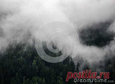 Fog Stock Photo - Image: 90539040