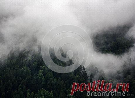 Stock Photos, Royalty-Free Images & Video Footage By Dreamstime Stock Photography