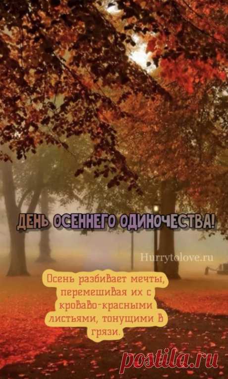 Пусть этот день напомнит о важности гармонии и подарит умение сочетать энергию и спокойствие, активность и отдых. Открытки на День осеннего одиночества!