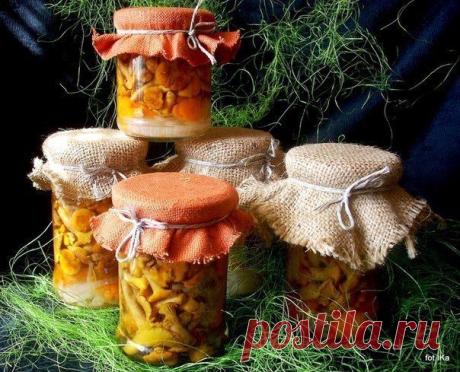 Малосольные и  / Изысканные кулинарные рецепты