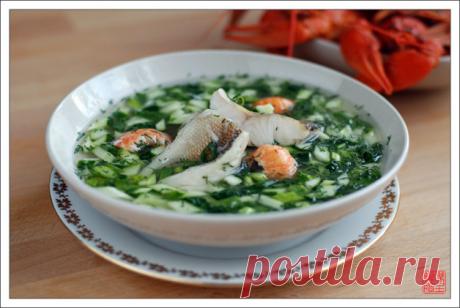 Щучина — летний хит!