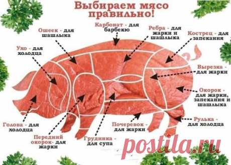 Свинину можно приготовить самыми разными способами жарить, тушить, варить, запекать или готовить на открытом огне. Чтобы не ошибиться с выбором мяса для вашего блюда сохраните себе эту схему.