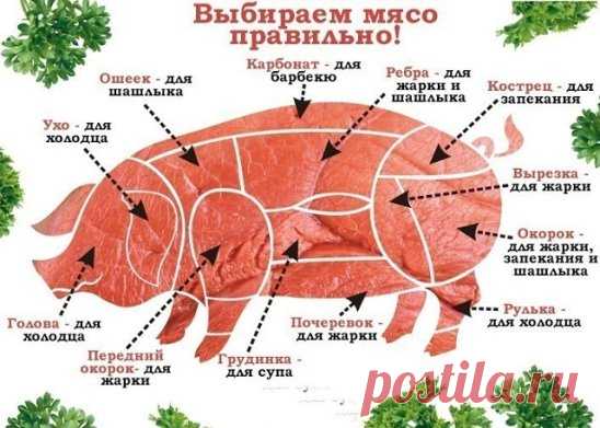 Свинину можно приготовить самыми разными способами жарить, тушить, варить, запекать или готовить на открытом огне. Чтобы не ошибиться с выбором мяса для вашего блюда сохраните себе эту схему.