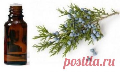 Масло можжевельника: состав, польза для здоровья, противопоказания, применение  Можжевеловое масло.  Применение в домашних условиях: лечение добавлением в крема и лечение ароматерапией. Противопоказания при использовании можжевелового масла.