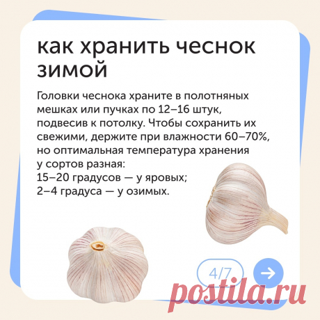 (3) Мой Мир@Mail.Ru