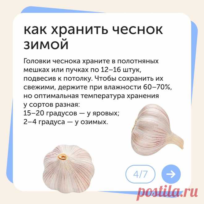 (3) Мой Мир@Mail.Ru