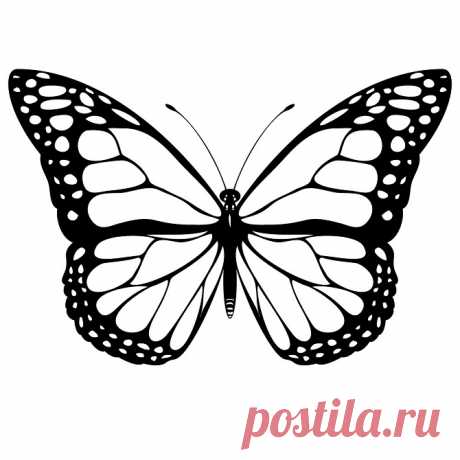 Шаблоны бабочек