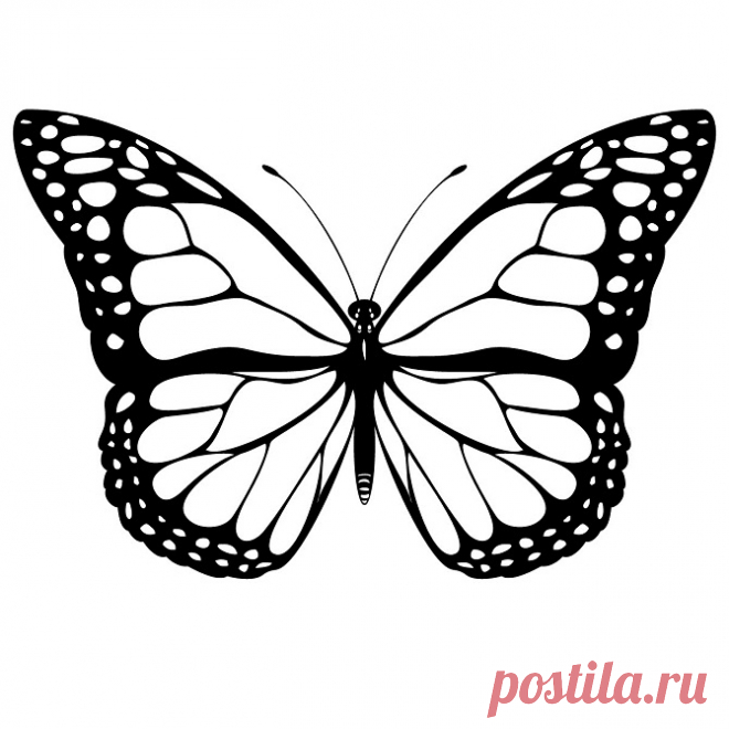 Шаблоны бабочек