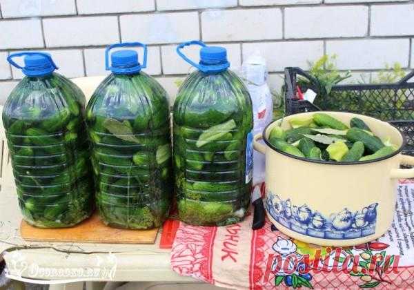 Солим огурцы в пластиковых бутылках!