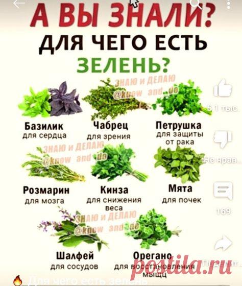 Обсуждения - Тепло людских сердец - Группы Мой Мир