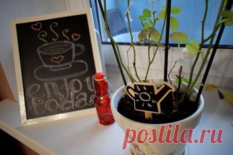 Полгода работы, помощь родственников и бюджет в $10 000 — как молодая семья обустроила свою квартиру