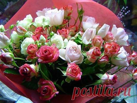 Красивые Цветы  Для Тебя