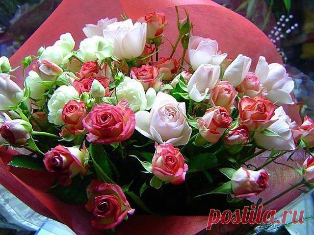 Красивые Цветы  Для Тебя