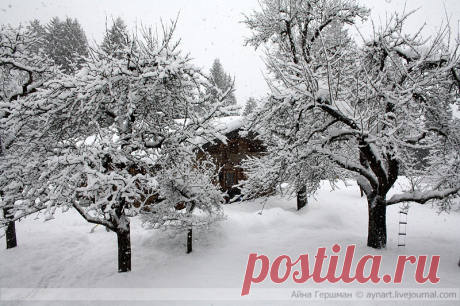 В жизни тоже много сказок - Делай, что любишь. Люби то, что делаешь.