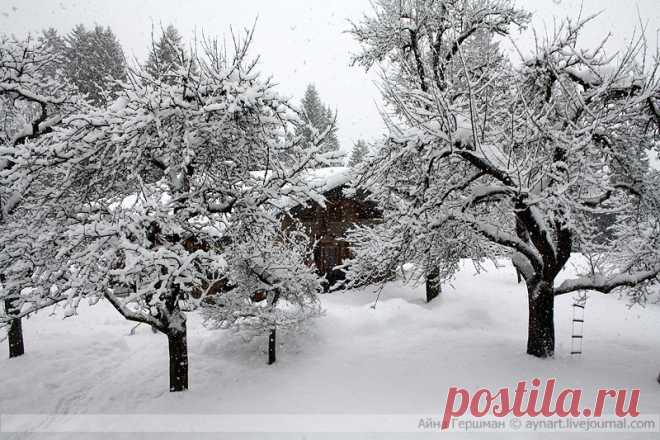 В жизни тоже много сказок - Делай, что любишь. Люби то, что делаешь.