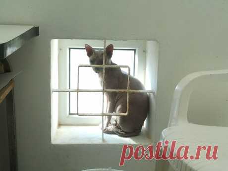 таганка..,я твой бессменный арестант....