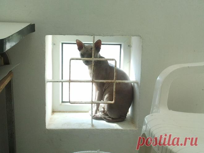 таганка..,я твой бессменный арестант....