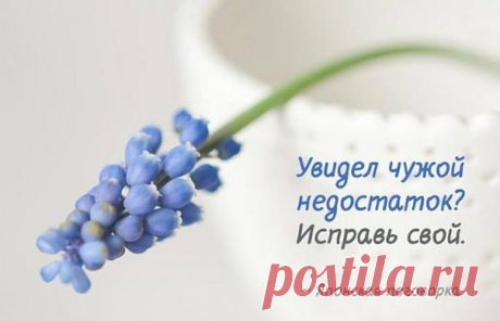 (1) Православие ✔
