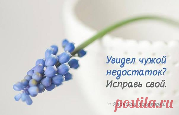 (1) Православие ✔