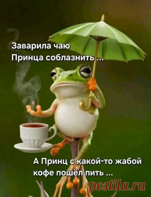 Выпуск №6618 - выпуск анекдотов сайта вокруг смеха