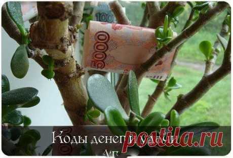 (48) Одноклассники