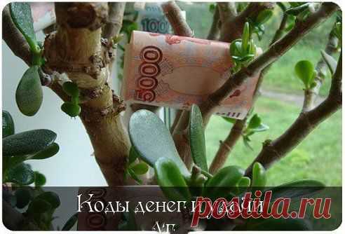 (48) Одноклассники
