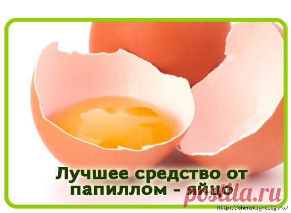 Лучшие средства в борьбе с папилломами!