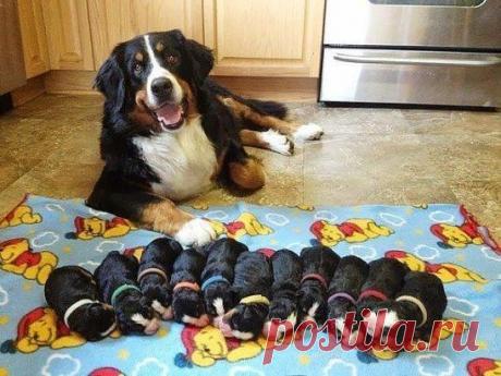 Когда дети спят, это не только мило, но и наконец-то!