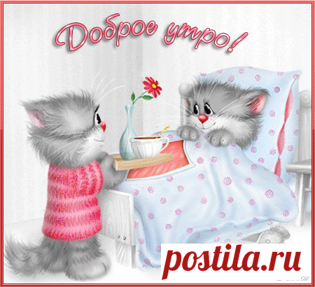 (60) Одноклассники