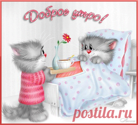 (60) Одноклассники
