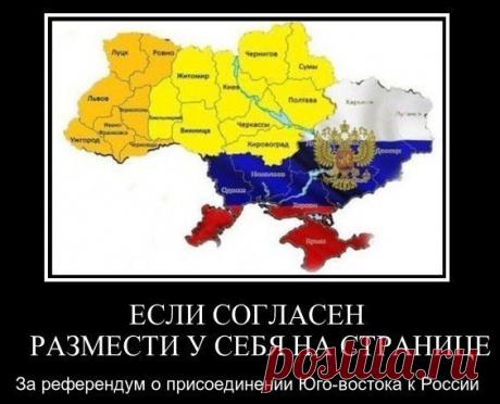 Новые фотографии