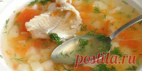 Уха "Ростовская" : Супы : Кулинария : Subscribe.Ru