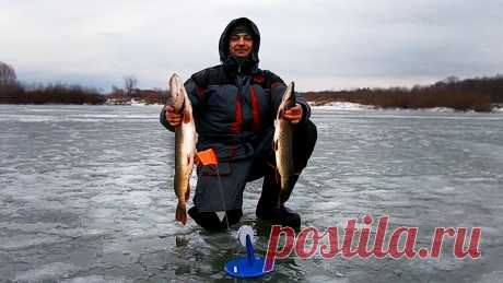 Я просто перенес туда жерлицы и ПОНЕСЛОСЬ! | НА КРЮЧКЕ/РЫБАЛКА | Яндекс Дзен