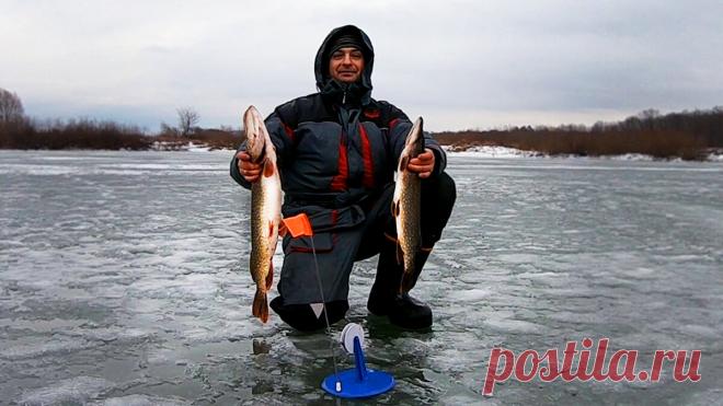 Я просто перенес туда жерлицы и ПОНЕСЛОСЬ! | НА КРЮЧКЕ/РЫБАЛКА | Яндекс Дзен