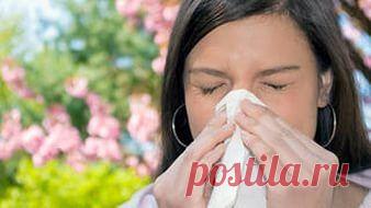 ПОМОГЛО ПРИ АЛЛЕРГИИ / Популярная медицина