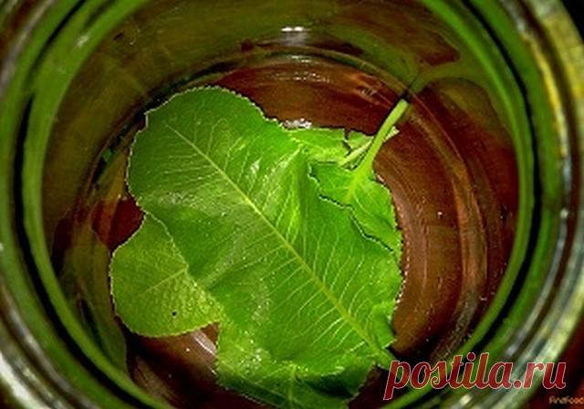 Одноклассники