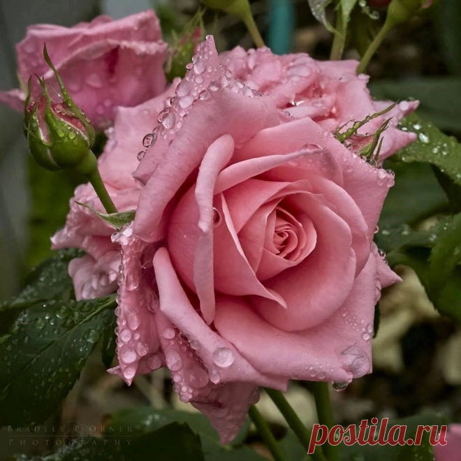 (5) Facebook