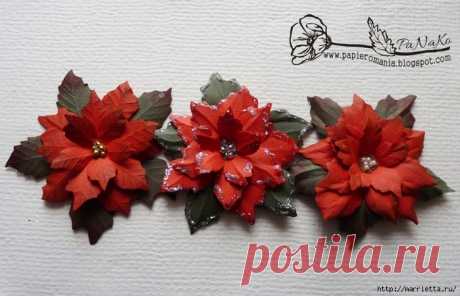 Рождественская звезда ПУАНСЕТТИЯ из бумаги. Шаблоны и мастер-класс