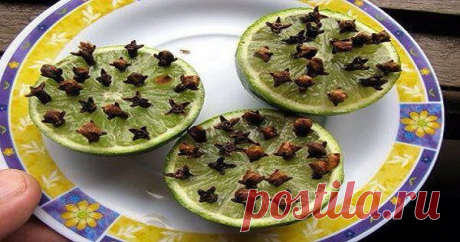 Самое эффективное и натуральное средство от комаров!эксклюзивный рецепт! можно спать с открытыми окнами (даже на даче) | Узнал сам - расскажи другому.