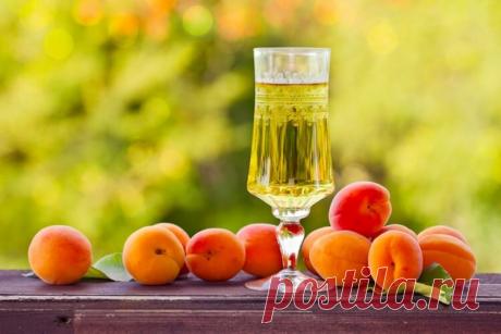 Домашнее абрикосовое вино — несколько необычных рецептов  После удачного эксперимента с малиновым вином я уверовал в свои силы и решил попытать счастья в изготовлении вина из самого дешевого, самого распространенного и доступного фрукта в моем регионе – абр…
