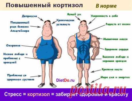 Пассифлора: инструкция по применению препарата и для чего он нужен.