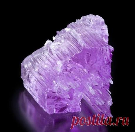 themagicfarawayttree:
“Kunzite
”