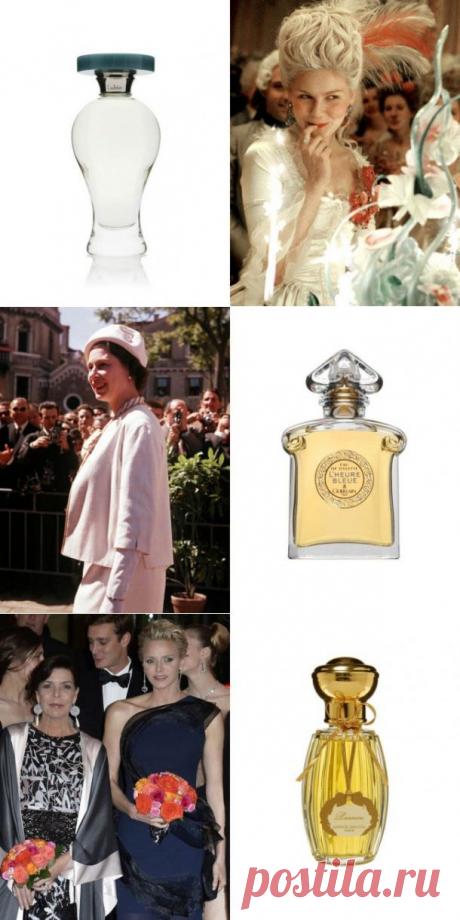 Королевский шлейф: ароматы знати | Изюминки