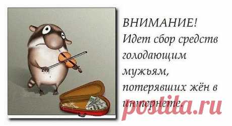 Мужьям...