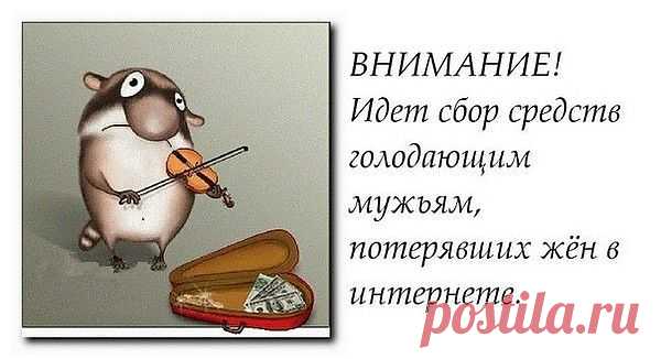 Мужьям...